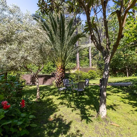 Apartament El Castanar De Ceubia